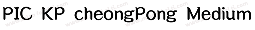 PIC KP cheongPong Medium Kp 97KPS字体转换